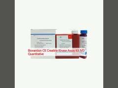 Biovantion CK Creatine Kinase Assay Kit IVD Quantitative