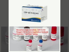 Biovantion High-Sensitivity CMV ELISA Reagent Kit for Cytomegalovirus Antibody Detection – IgG/IgM Testing