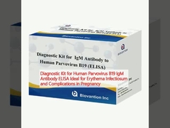 Diagnostic Kit for Human Parvovirus B19 IgM Antibody ELISA Ideal for Erythema Infectiosum and Complications in Pregnancy