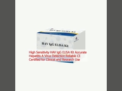 High Sensitivity HAV IgG ELISA Kit Accurate Hepatitis A Virus Detection Reliable CE Certified for Clinical and Research Use