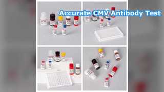 CMV ELISA Test Kit Detects Cytomegalovirus Antibodies