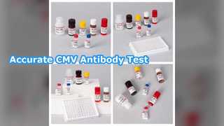 CMV ELISA Test Kit for Antibody Detection