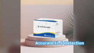 IL-6 ELISA Kit 96 Tests Accurate Detection