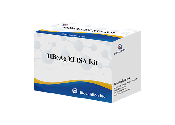 Human HBeAg Elisa Test Kit Blood Hepatitis B Envelope Antigen Test