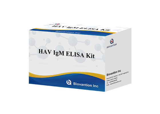 Plasma IgM 96pcs Elisa Test Kit HAV Diagnos Antibody Test Kit