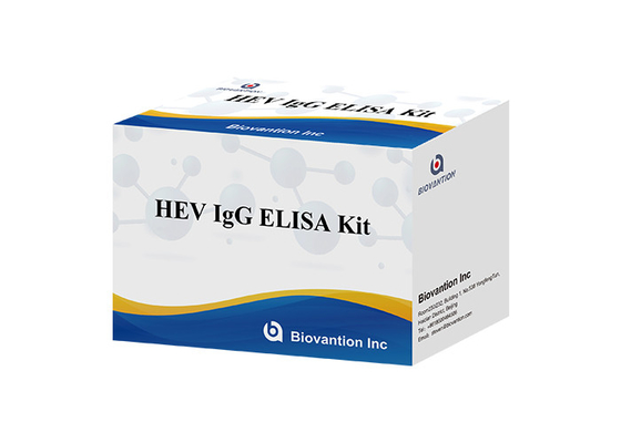 HEV Human Igg Elisa Kit Diagnostic For IgG Antibody To Hepatitis E Virus