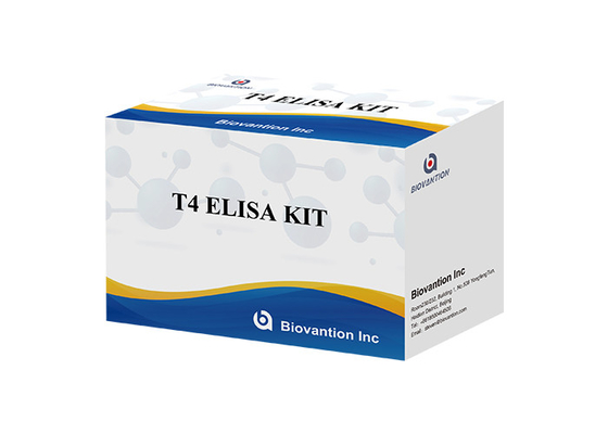 ISO Thyroxine T4 Elisa Test Free T4 Serum Test 110 Minutes Read Time