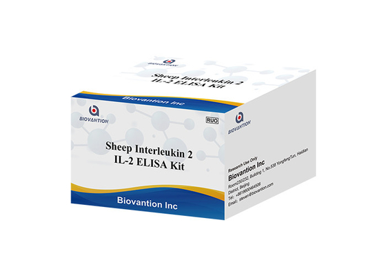 TCGF RUO Test Kit Sheep Interleukin 2 Test Aldesleukin IL-2 ELISA Kit