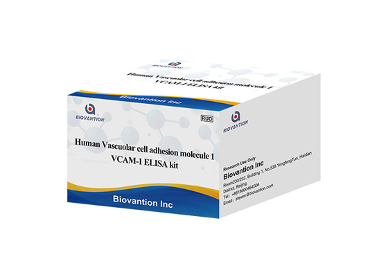 VCAM1 CD106 ELISA RUO Test Kit For Human Vascular Cell Adhesion Molecule 1