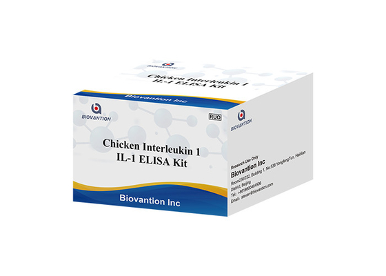 96 Wells IL1 Research RUO Test Kit Chicken Interleukin 1 ELISA Kit