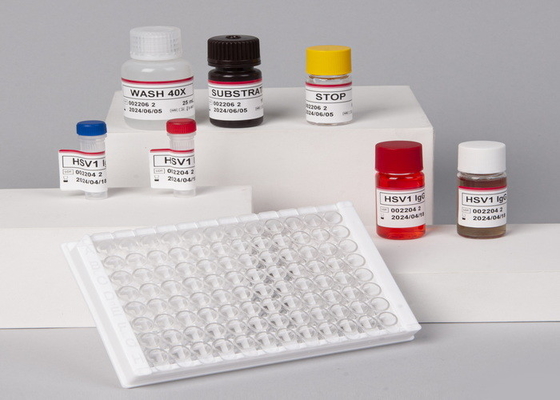 High Precision  For Laboratory Or Hospital High Precision RUO Human TNF-α Elisa Test Kit