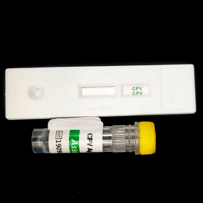 Canine Distemper Virus Veterinary Rapid Test Immunochromatography