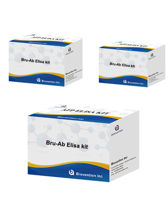 Brucellosis Antibody Veterinary Test Kit For Bru-Ab