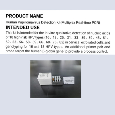 Human Papillomavirus Detection Kit Multiplex Real Time PCR