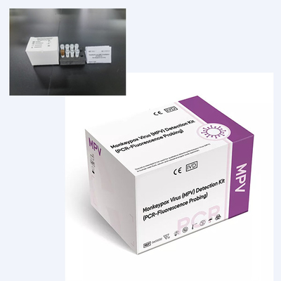 PCR Reagent Essential Component For Successful DNA Amplification