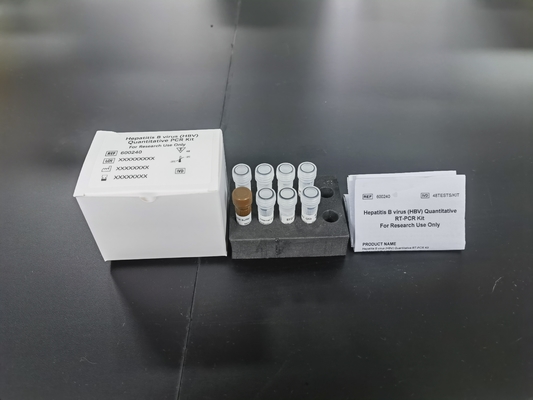 HBV PCR Quantitative Chemical And Pharmaceutical ELISA Test Kit For Diagnose RUO