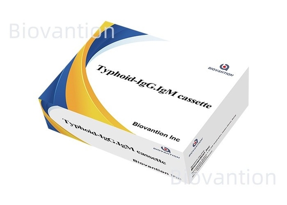 Typhoid--IgM&IgG For Laboratories And Hospitals Typhoid Fever Blood Rapid Test Kit