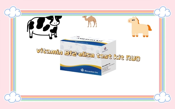 Vitamin B12 Elisa Test Kit Of Enzyme-Linked Product RESEARCH USE ONLY Animal Test