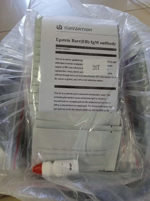 Epstein Barr EB-IgM Antibody Rapid Test Cassette Serum Rapid Tets Professional