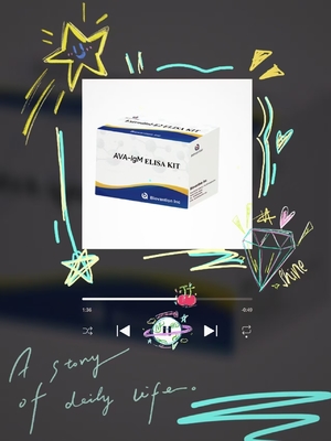 Anti-ACA IgM ELISA Test Kit  Antibodies To Anticardiolipin Qualitative