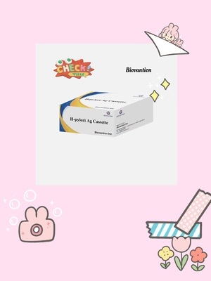 H. Pylori Ag Rapid Test Cassette In Vitro Diagnostic Reagent ( IVD Reagents )