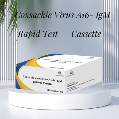 CVA16 IVD diagnostic reagent Coxsackie Virus A16 CVA16-IgM Antibody Cassette WB/S/P Colloidal Gold Rapid Test