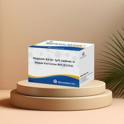 Human Use Diagnostic Kit For Human Parvovirus B19 IgM Antibody Elisa Test Kit With 96T