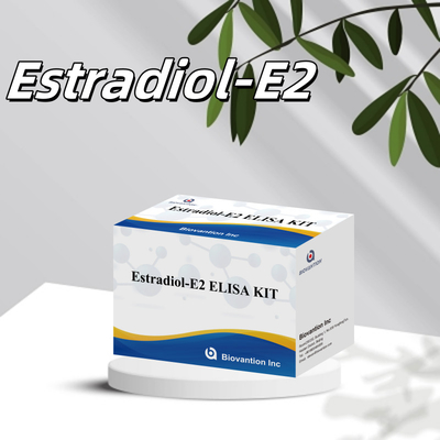 Estradiol ELISA Kit E2 In Vitro Detection Medical Reagents For Human Use