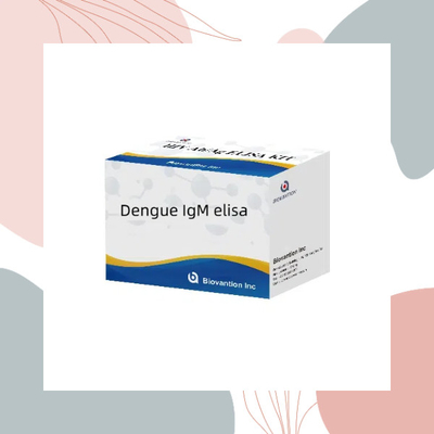 Dengue IgM ELISA For In Vitro Diagnostic Infection With Dengue Virus
