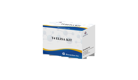 Highly Specific T4 Elisa Test Kit For Accurate Detection Of Target Substances