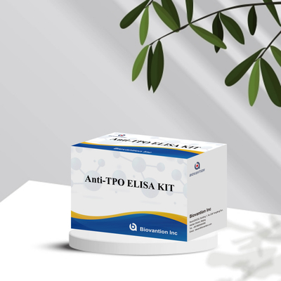 Convenient and Accurate TPO  Elisa Test Kit for Disease Detection and Monitoring