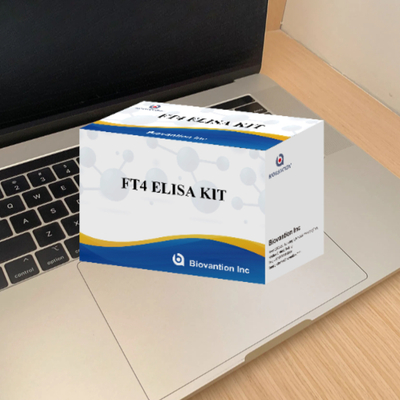 For Laboratory Or Hospital High Accuracy Free Thyroxine FT4 Elisa Test Kit