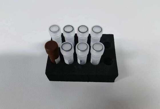 Dengue PCR Test high quality detect with 48 test