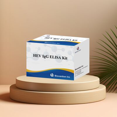 High Sensitivity HEV-IgG ELISA Test Kit with 96T Size and 18 Months Shelf Life for Hepatitis E Diagnosis