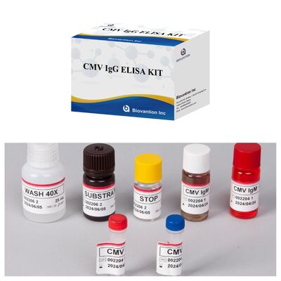 96T CMV ELISA Test Kit with Colorimetric Detection and Sandwich Method for Cytomegalovirus Antibodies