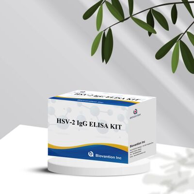 High Sensitivity and High Specificity HSV-2 IgG Antibodies Detection Elisa Test Kit with 18 Months Shelf Life