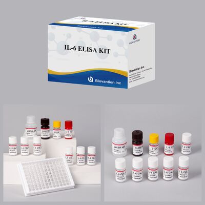 Interleukin-6 Human Elisa Test Kit with 99% Accuracy for Qualitative Detection and 24 Months Shelf Life