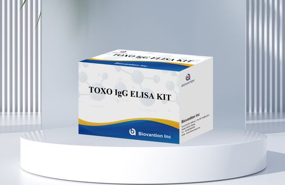 TOXO IgM Elisa Kit with 96 Tests/kit for Human Use Featuring 99% Accuracy and 24 Months Shelf Life