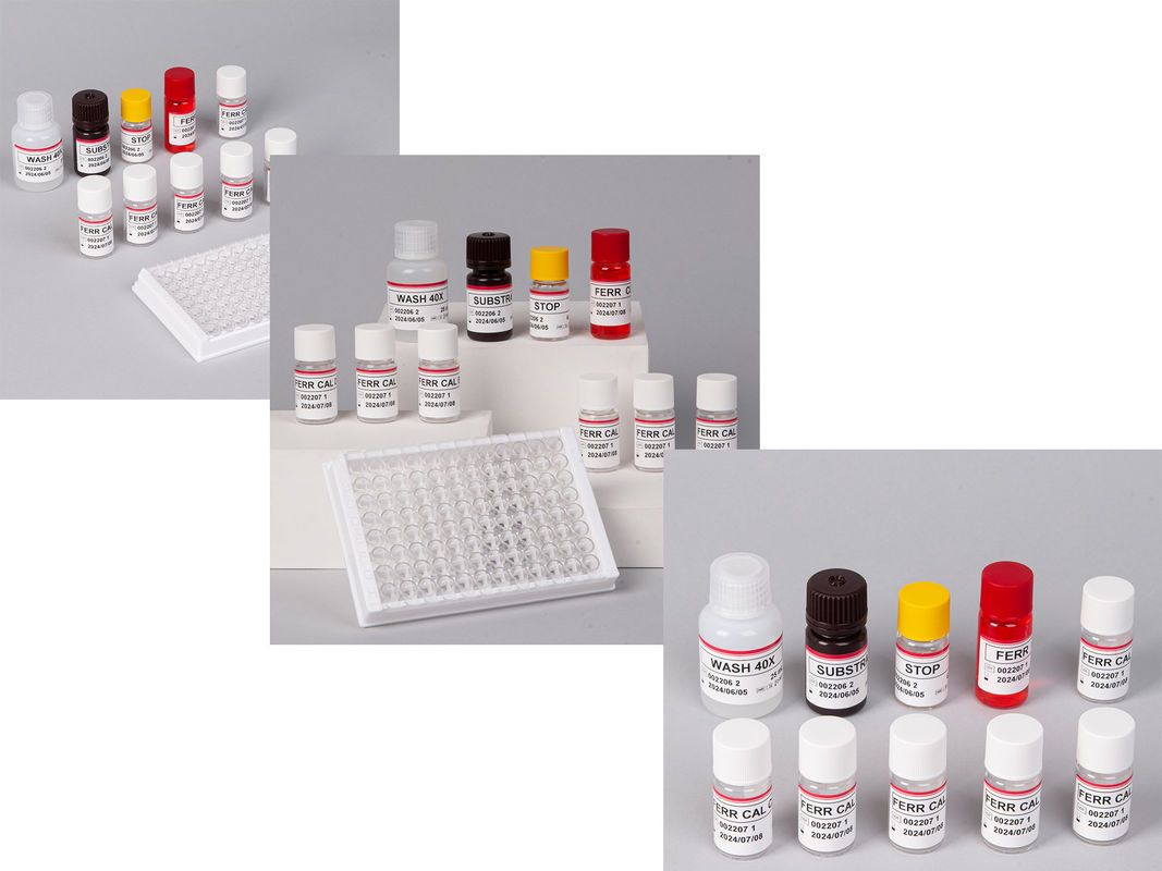 Laboratory Or Hospital High Precision Human ferritin FE ELISA TEST KIT