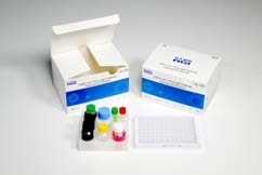 96 Tests 60 Min IgG Elisa Kit COVID-19 Test Human Serum Sample