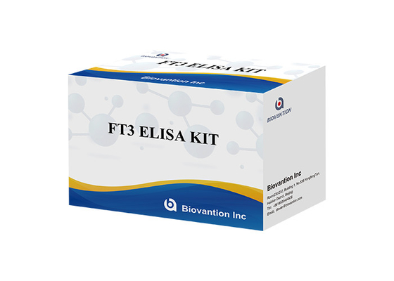 FT3 Elisa Test Kit 110 Minutes Free Triiodothyronine T3 Free Blood Test