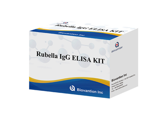 Laboratory Or Hospital High Accuracy Rubella IgG ELISA TEST KIT