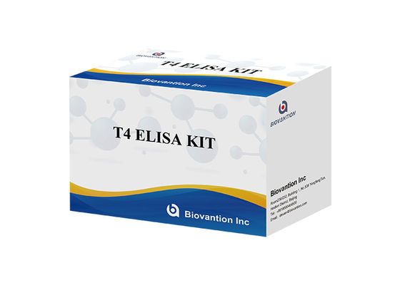Thyroxine T4 Elisa Detection Kit