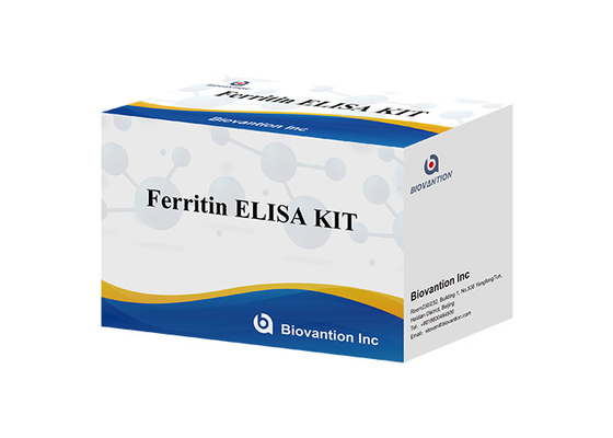 For Laboratory Or Hospital High Accuracy Ferritin Elisa Test Kit