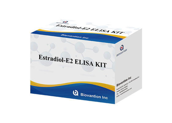 E2 ELISA Test Kit In Vitro Detection Medical Detection High Precision
