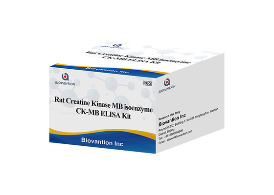 Rat Creatine Kinase MB Isoenzyme CK-MB ELISA RUO Test Kit
