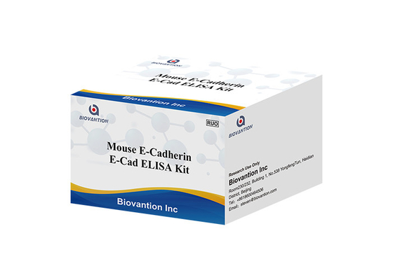 Mouse E Cad E Cadherin Elisa Kit Research Use Only Sandwich Method