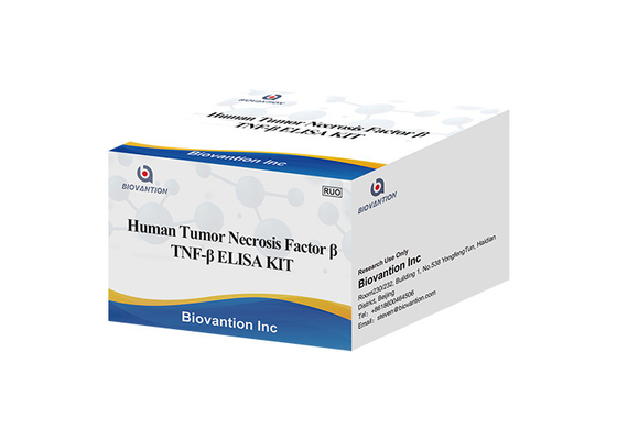 TNFB TNFSF1 Lymphotoxin Alpha LTA ELISA KIT Human Tumor Necrosis Factor Beta
