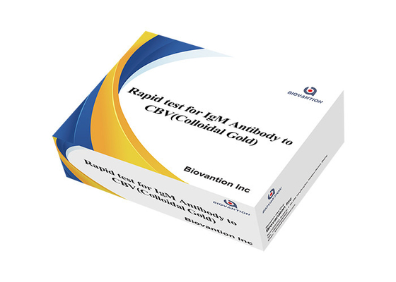 CBV-IgG A Rapid Test Cassette for WB/S/P Samples with 5-15 Minute Reading Time