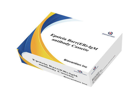 Epstein Barr EB IgG/IgM Rapid Cassette Test Detection Expiration Date 24 Mouths